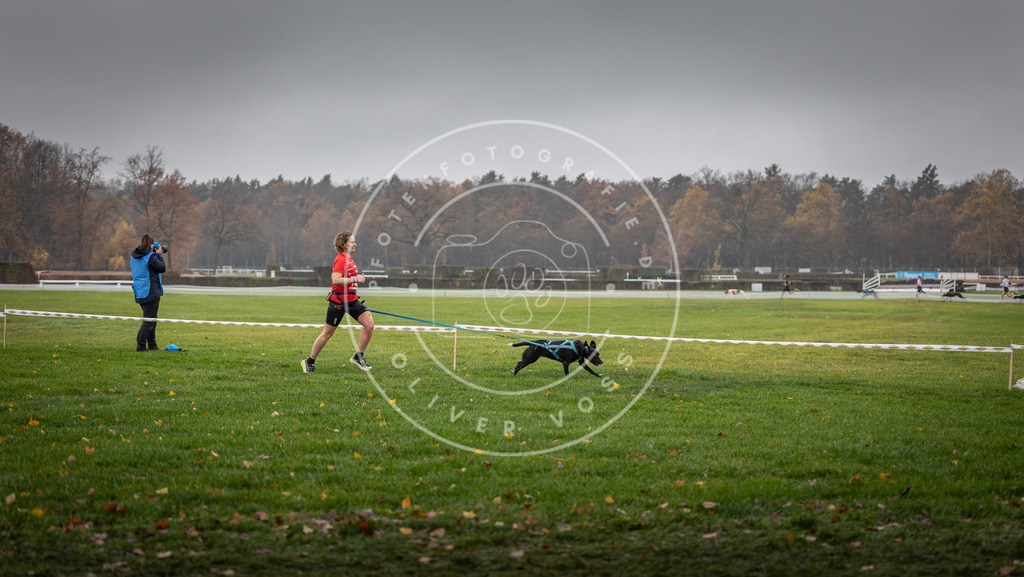 CaniXpix_DV3A8895 | Hundefotografie, Tierfotograf, Pfotenfotografie, Fotoshooting Hund, Hunde Portrait, Hundesport, Hundeportraits, Heideshooting, Hunde, Sportfotograf, Hundefotograf, Turnierhundsport, THS,  - Realisiert mit Pictrs.com