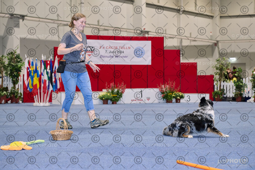 202406_ÖKV-IHA-Tulln24_NZ9_7699 | proPHOTO - Realisiert mit Pictrs.com