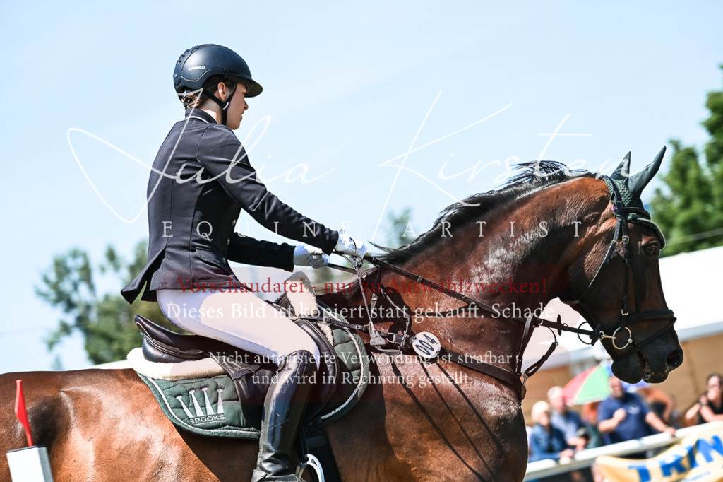 DSC_0160 | Pferde- und Turnierfotografie in Westsachsen. Pferdeportraits, Auftragszeichnungen und intuitive Kunst.