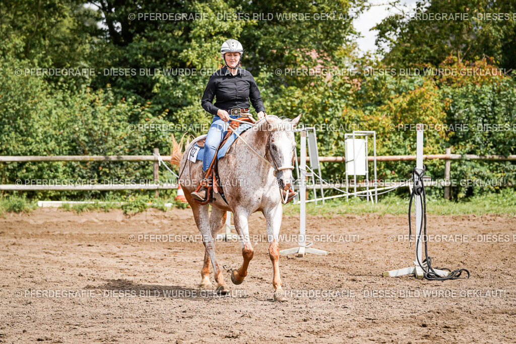 DSC07303 | Pferdegrafie