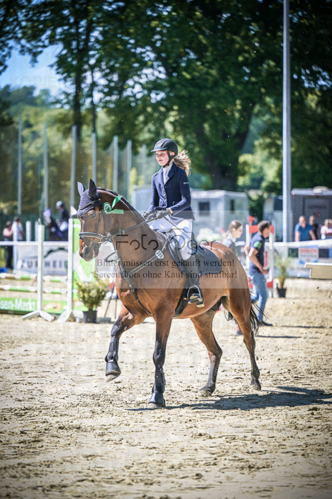 DOS_0674 | Entdecke hochwertige Reitturnierfotos von Foto Oger. Professionell, emotional und authentisch – jetzt Lieblingsmomente im Shop bestellen.Deutschlandweite Turnierfotografie. - Realisiert mit Pictrs.com