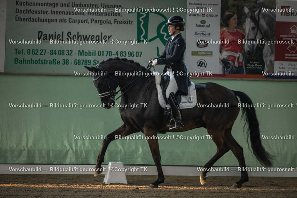 _D5A7651 | Emotionale Pferde- & People-Fotografie rund um Heidelberg, Leimen & Umgebung. Natürliche Fotos von Pferd, Mensch & Familie. Jetzt Termin sichern!