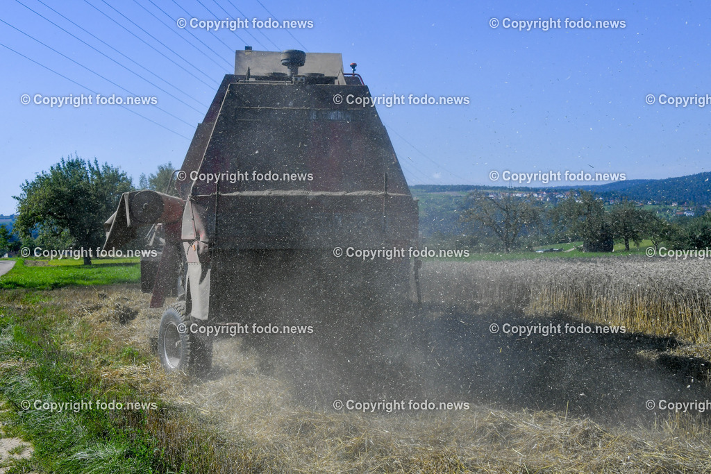 Deutschland_ Baden-Wuerttemberg_ Ebersbach an der Fils_ 09.08.2025-12 | 09.08.2025, Deutschland, GER, Baden-Wuerttemberg, Ebersbach an der Fils, im Bild Themenbild, Abmaehen, Feld, Maehdrescher, Feldarbeit, Landwirt, Bauer, Baeurin, Ernte, Getreide, Landwirtschaft, Erntemaschine, Korn, Halm, Schneidwerk, Stoppelfeld, Dreschen, Stroh, Agrartechnik, Traktor, Fahrzeug, Erntegeraet, Ackerbau, Staub, Sommer, Ertrag, Maschinenkraft, Erntezeit, Feldrand, Fahrspur, Feature, Symbolbild