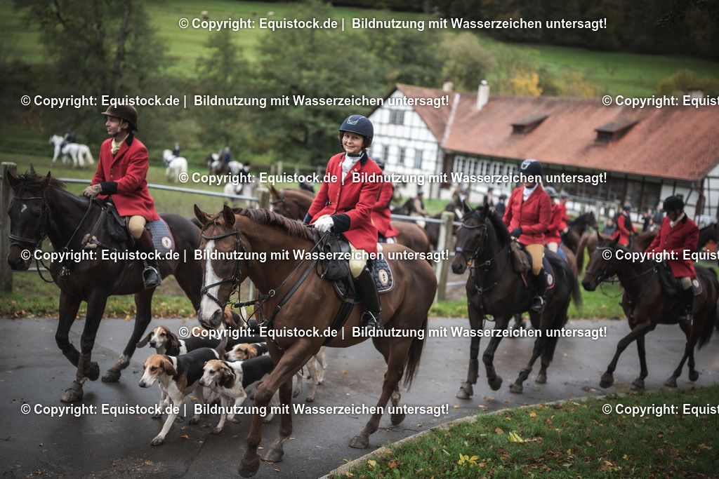 20241013_Jagd-Marbach_0170 | Foto: Thomas Hartig