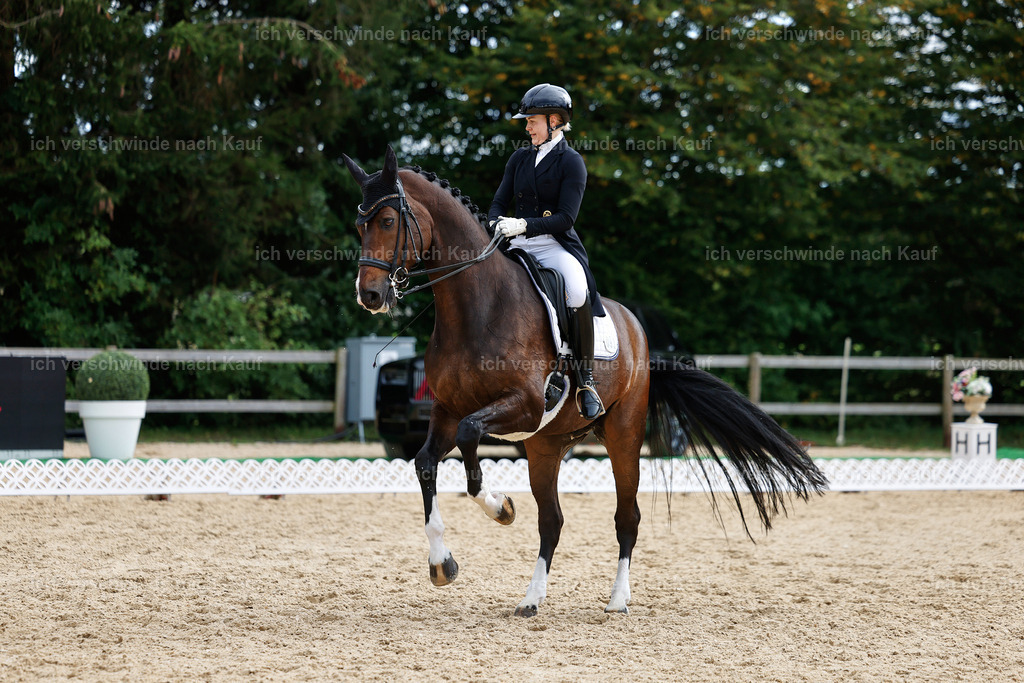 11-091-Dressur S___-StoibPH-1291 | working equitationturnier fotograf videograf stoibphotography marixx film working equitation deutschland reitsport turnierfotografie eventfotografie equestrian events