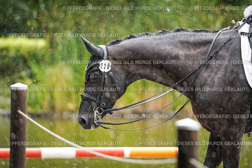 DSC08520 | Pferdegrafie