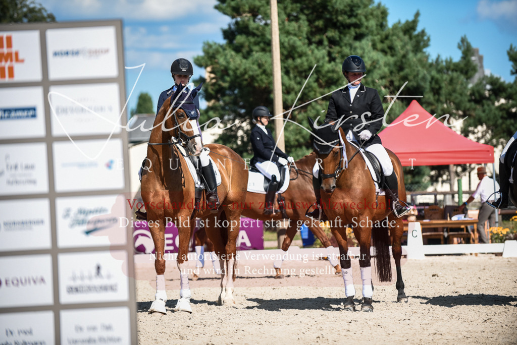 DSC_9717 | Pferde- und Turnierfotografie in Westsachsen. Pferdeportraits, Auftragszeichnungen und intuitive Kunst.