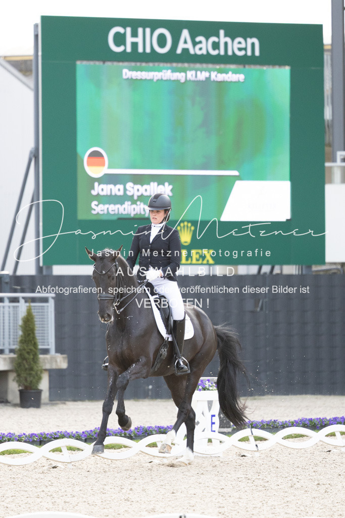 126A4582 | jasminmetznerfotografie