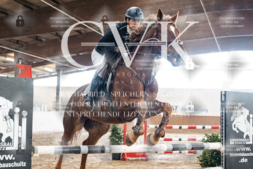 CK906159 | Turnierfotografie Pferdefotografie Trier Rheinland-Pfalz Pferdesport Reitsport Tierfotografie Sportfotografie Pferdevideo Pferdevideografie Equestrianvideography equestrianphotography  - Realisiert mit Pictrs.com