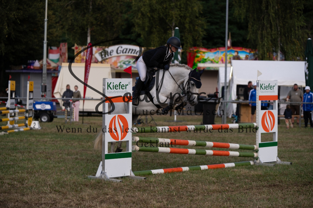 A7V07995 | Pferdefotograf