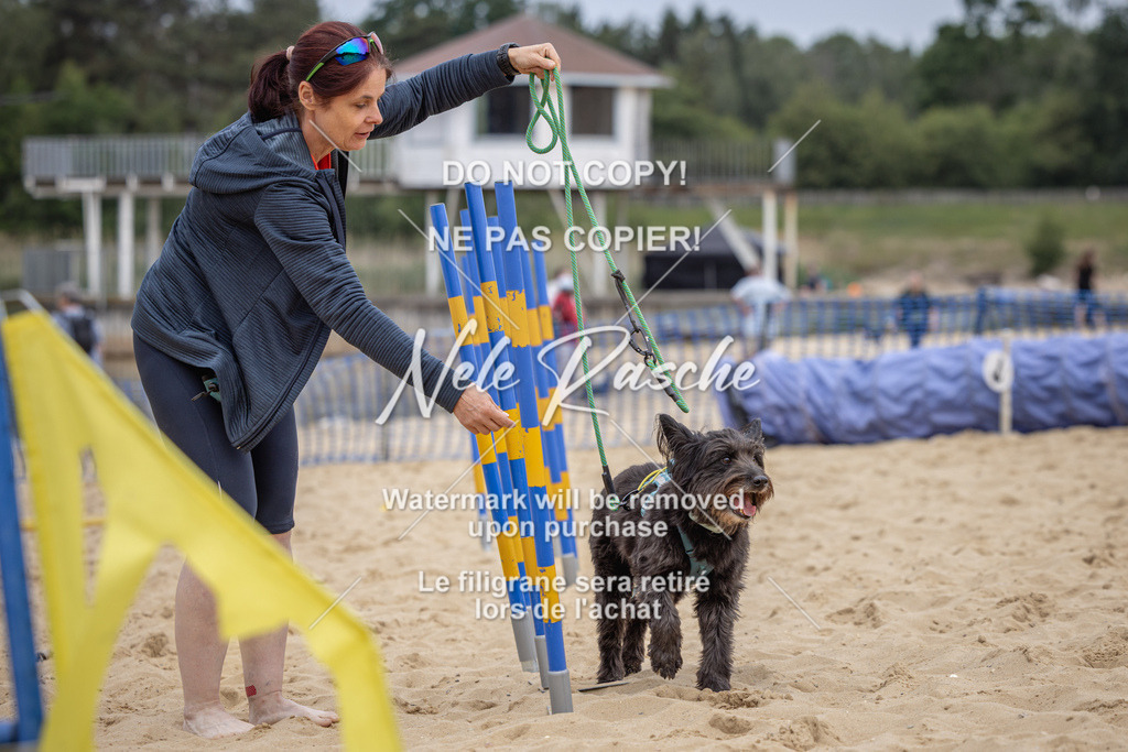 nelerasche_BuHu2026_So10-11_16 | nelerasche