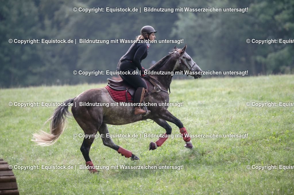 20250726_Vielseitigkeitslehrgang-Marbach_0020 | Foto: Thomas Hartig