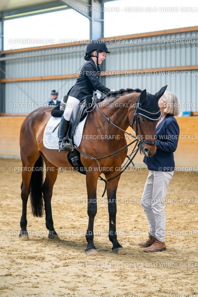 DSC01159 | Pferdegrafie