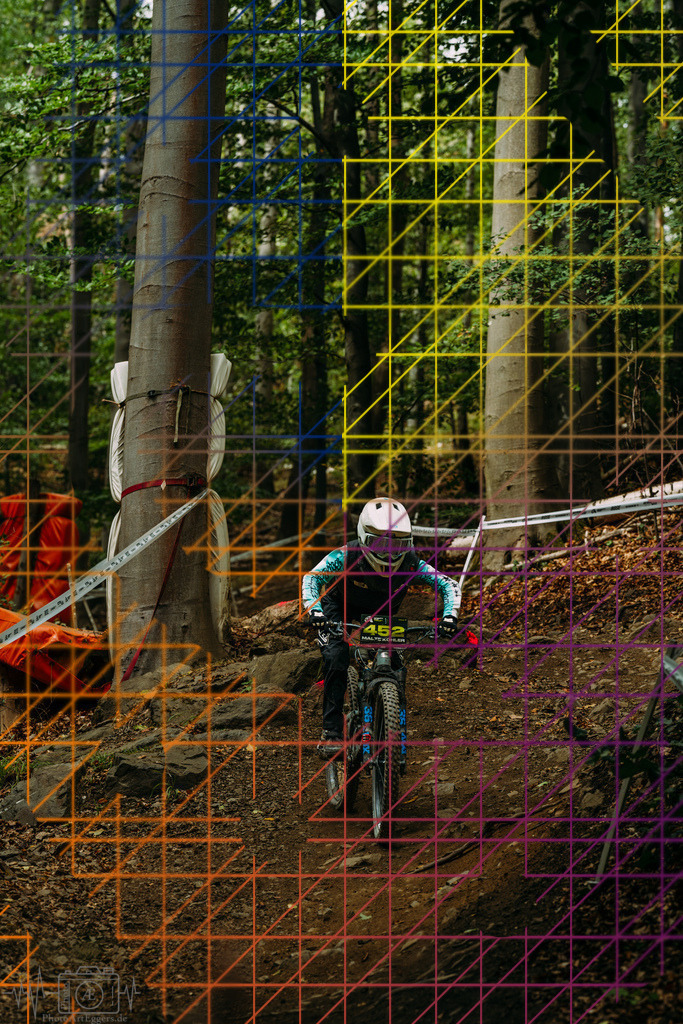 PAE-1403 | Einzigartige Fotokunst für dein Zuhause: Entdecke hochwertige Wandbilder, edle Prints und emotionale Motive von Wildlife, Natur und Landschaften - Realisiert mit Pictrs.com