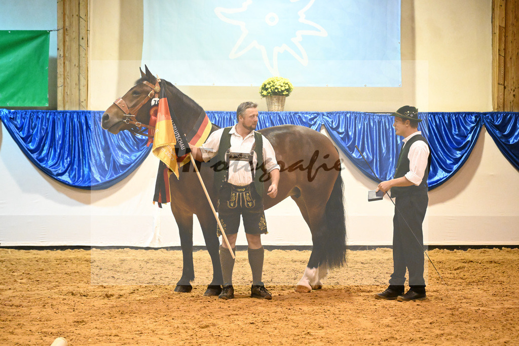 Kat-Nr. 76 Pipa_Gasteiger_53221434 | hf-fotografie - Realisiert mit Pictrs.com