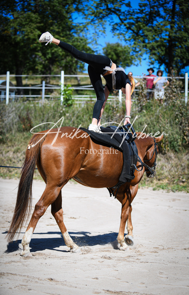 DSC_0650 | anikahuebner - Realisiert mit Pictrs.com