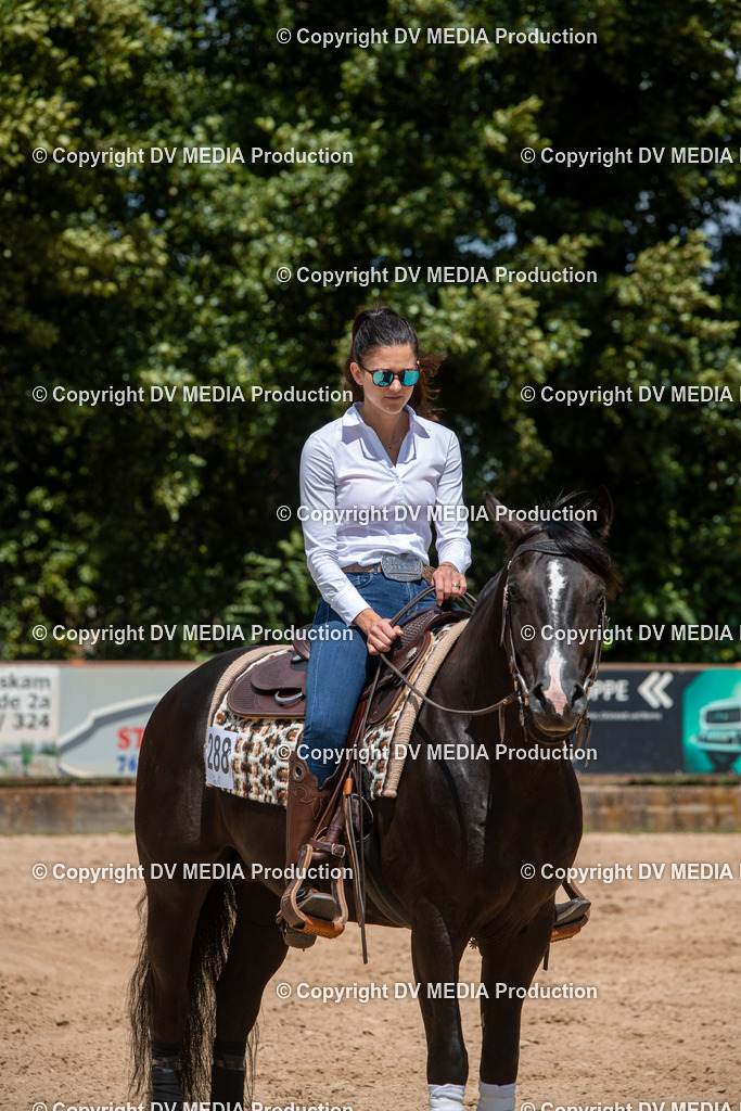 ZS3_9857 | dv-media-shop - Realisiert mit Pictrs.com