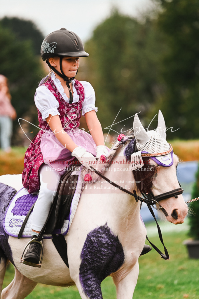 DSC_7426 | Pferde- und Turnierfotografie in Westsachsen. Pferdeportraits, Auftragszeichnungen und intuitive Kunst.