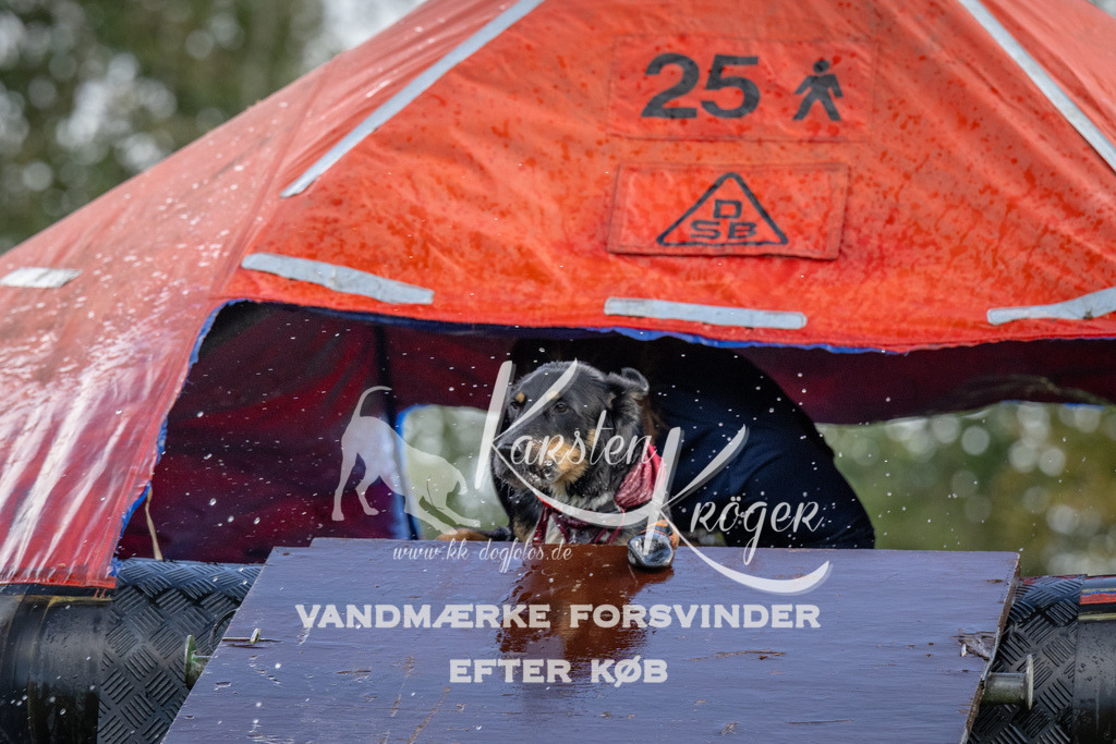 1224-93660 | kk-dogfotos
