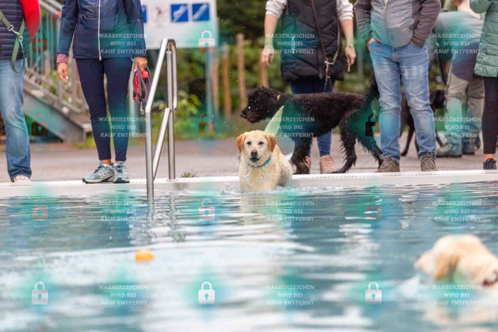 _HP_7164_1000o | HetPix, HetPix Fotodesign, Fotografie, Fotodesign, Webshop, Sportfotografie, Portraitfotografie, Onlineshop, Sportfotografie, Polch, Motorsportfotografie, Eventfotografie