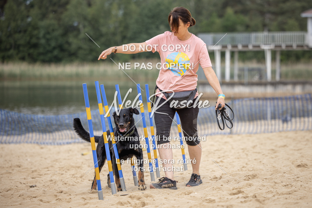 nelerasche_BuHu2026_So09-10_343 | nelerasche