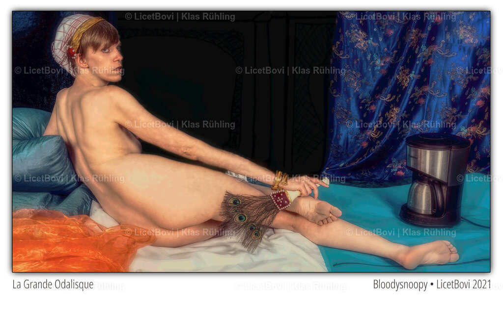 Grande Odalisque | Edited digital photograph, 2021From the series ‘Museum pieces’, retelling of Ingre's paintingWith BloodysnoopyRecommended format and material: 10x15, gloss - Realisiert mit Pictrs.com