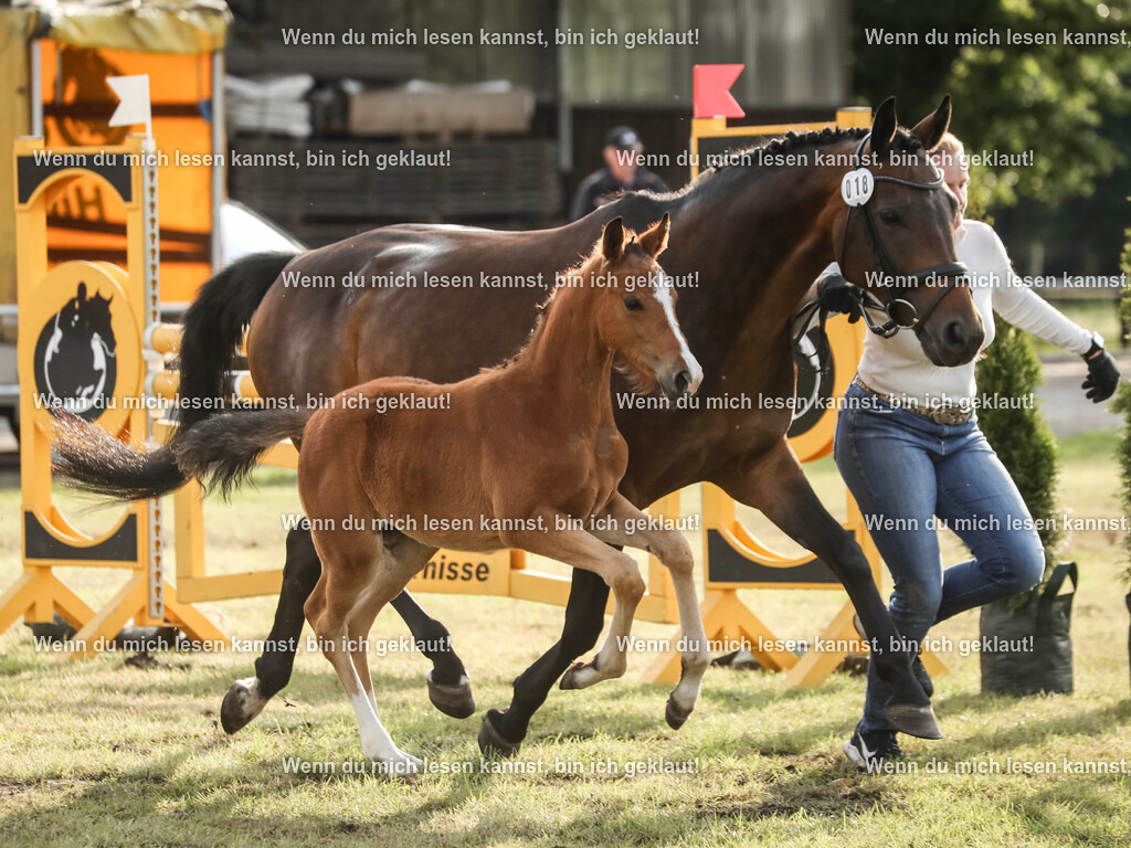 598A3151 | photographylinaismer - Realisiert mit Pictrs.com