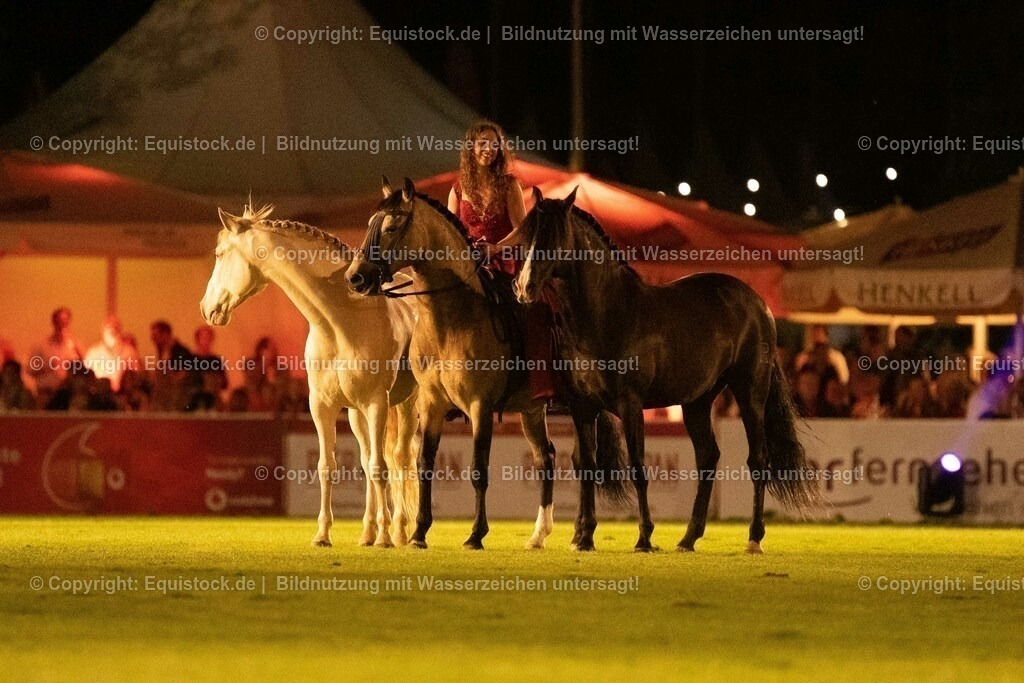 20230526_Pferdenacht_1512 | equistock