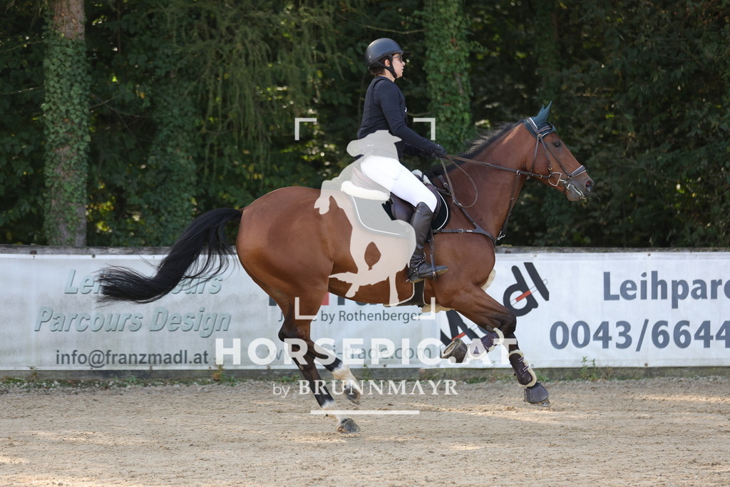 0P6A1829 | Willkommen bei Brunnmayr - Design & Fotografie – Ihrem Spezialisten für Reitturniere und Pferdeveranstaltungen in Oberösterreich, Salzburg und Bayern! Seit über 17 Jahren sind wir leidenschaftlich dabei.