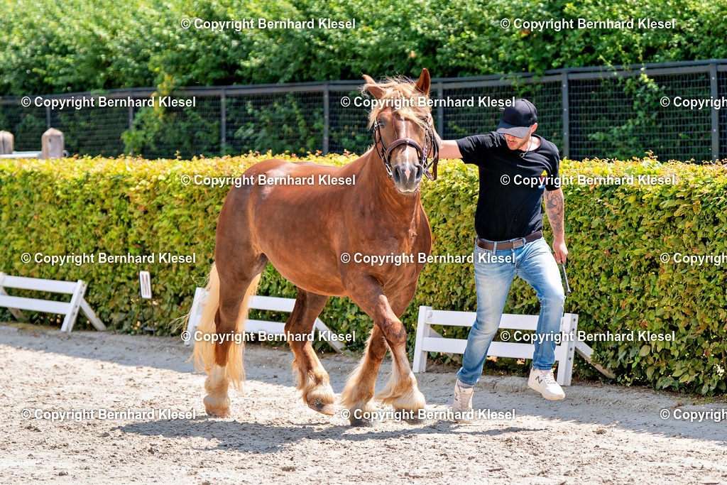 2A900814 | foto-team-bernhard - Realisiert mit Pictrs.com