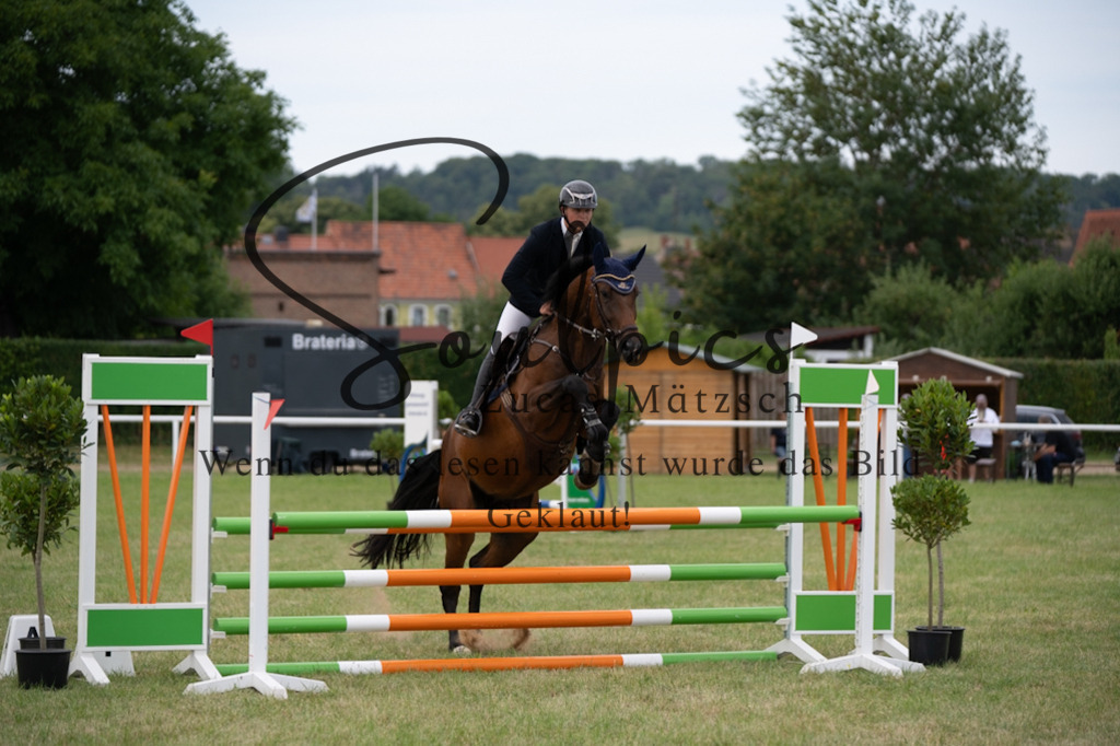 A7V01290 | Pferdefotograf