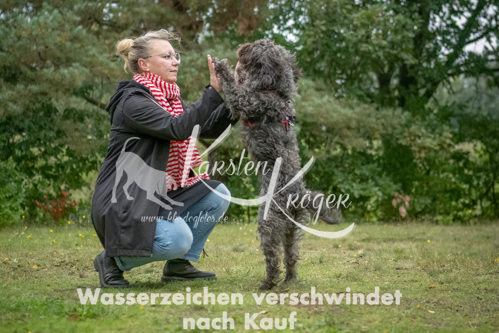 1511_ZZ94634-2-Bearbeitet | kk-dogfotos