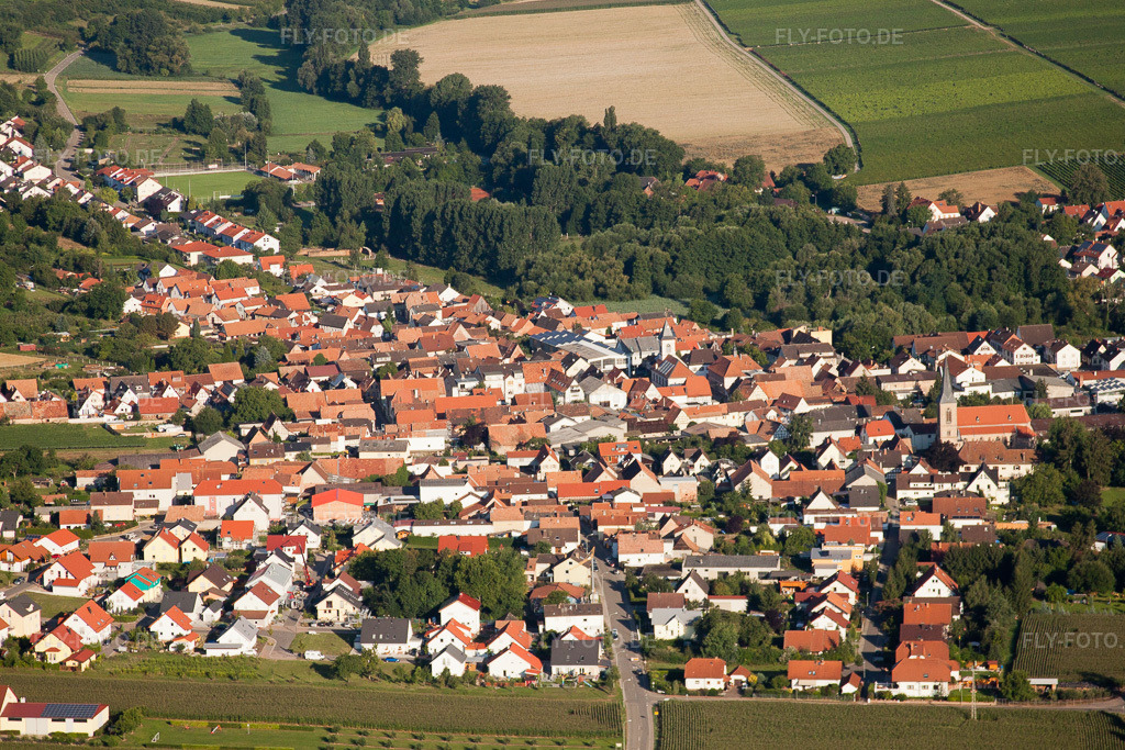 Luftbild: Ortsansicht von Osten im Ortsteil Ingenheim in Billigheim-Ingenheim im Bundesland Rheinland-Pfalz in Deutschland. Foto: IMG_30912.jpg vom 07.08.2010 durch Werner Riehm/FLY-FOTO.de