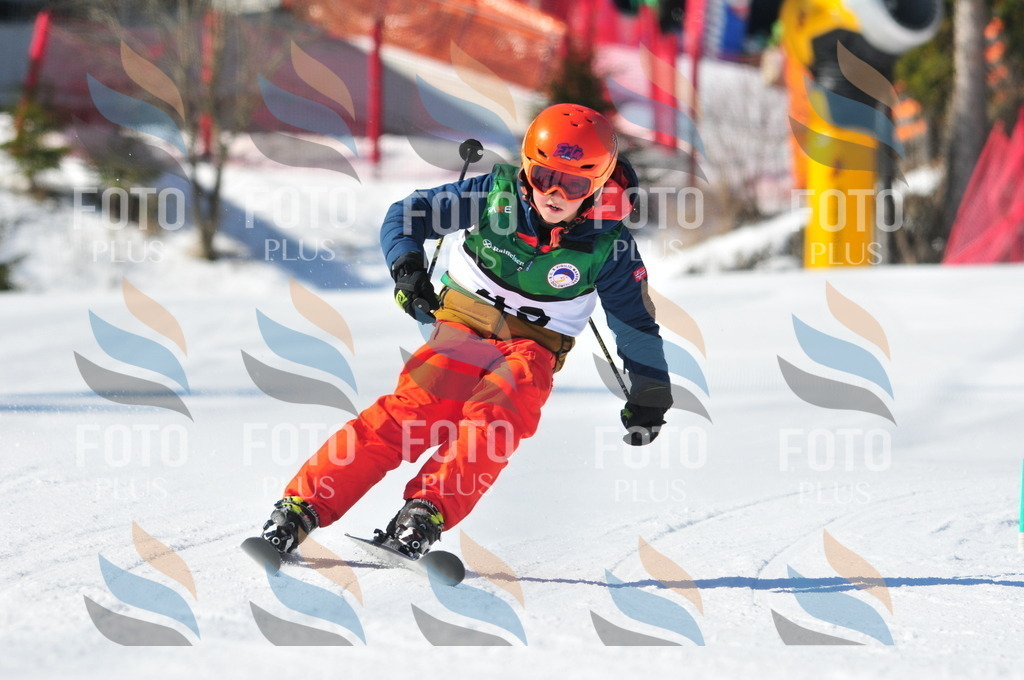 C2826 | holidayphoto