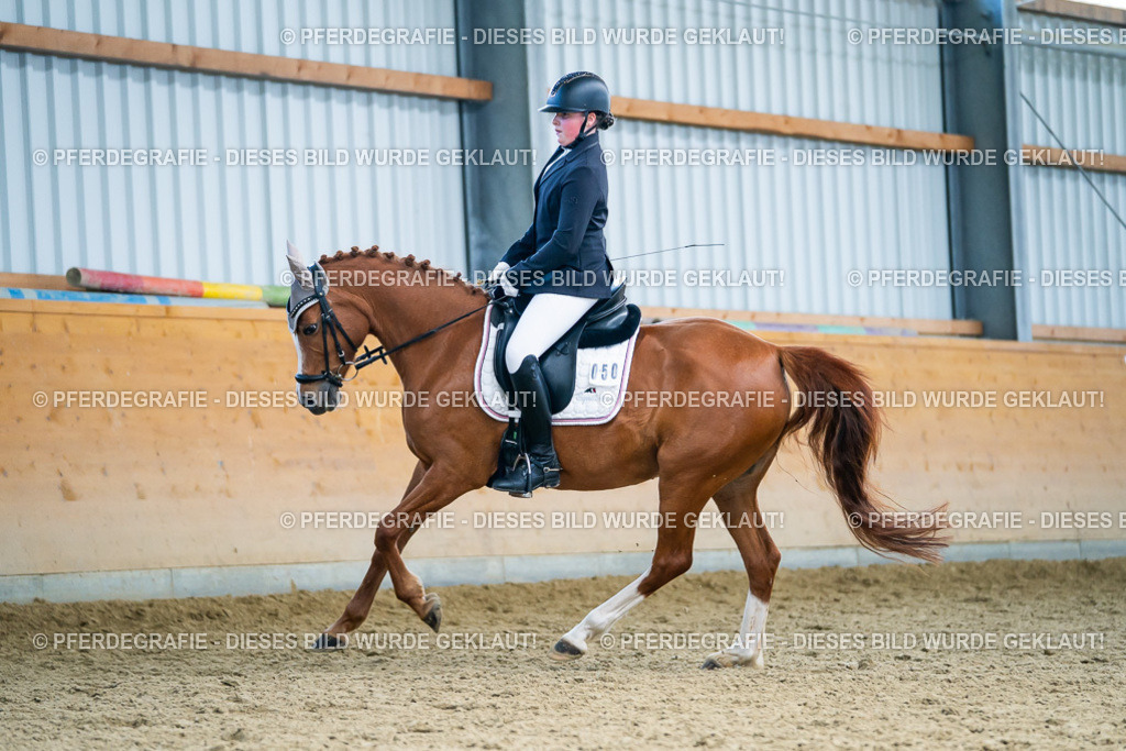 DSC05389 | Pferdegrafie