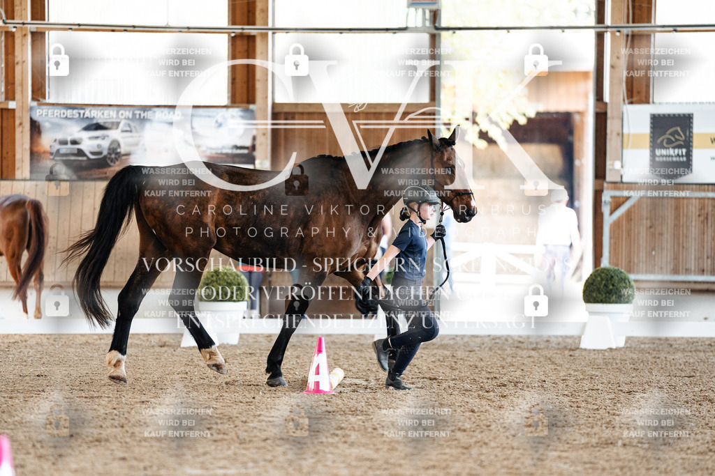 CK905769 | Turnierfotografie Pferdefotografie Trier Rheinland-Pfalz Pferdesport Reitsport Tierfotografie Sportfotografie Pferdevideo Pferdevideografie Equestrianvideography equestrianphotography  - Realized with Pictrs.com