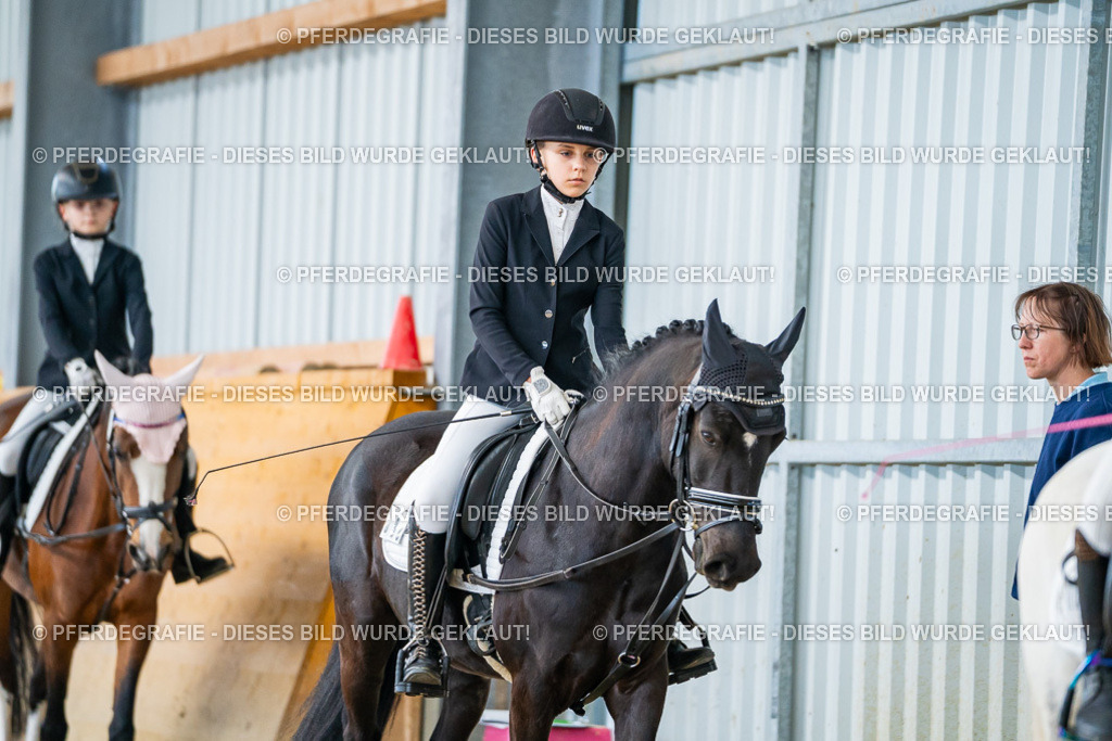 DSC01041 | Pferdegrafie