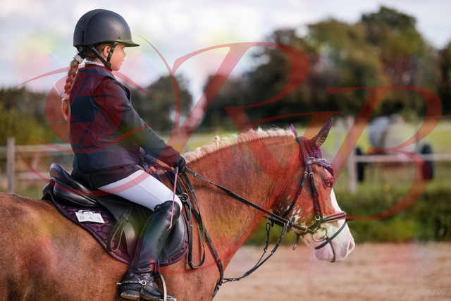 2026_10_03_Siefer-Hof_144334_Z81_17193796 | Professionelle Reitsport-, Turnier- und Eventfotografie von Robert Broda. Galerien mit ausgewählten und bearbeiteten Bildern direkt online ansehen und bestellen.