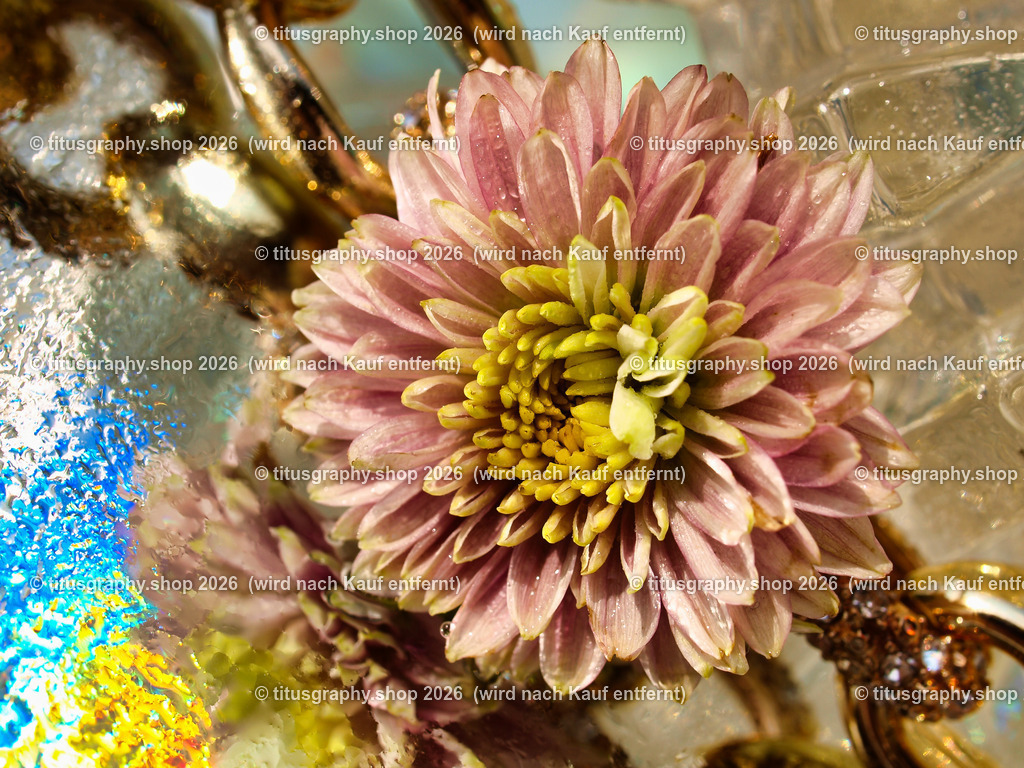 titusgraphy_P7239758-vz-ln | titusgraphy-shop: Geschenkideen mit Qualitätsfotos. titusgraphy-shop: gift ideas with quality photos. titusgraphy-shop: idées cadeaux avec photos de qualité.  - Realisiert mit Pictrs.com