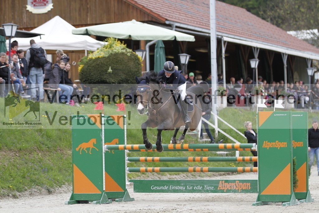 _MG_4089 | equestrian-live-com