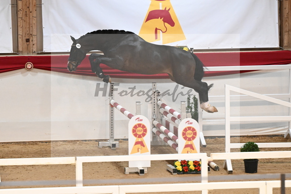 Kat.-Nr. 19 v. Diro_Schlamminger_3261689 | hf-fotografie - Realizzato con Pictrs.com