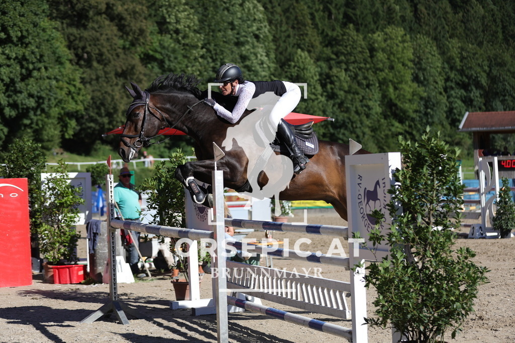 0P6A7366 | Willkommen bei Brunnmayr - Design & Fotografie – Ihrem Spezialisten für Reitturniere und Pferdeveranstaltungen in Oberösterreich, Salzburg und Bayern! Seit über 17 Jahren sind wir leidenschaftlich dabei.
