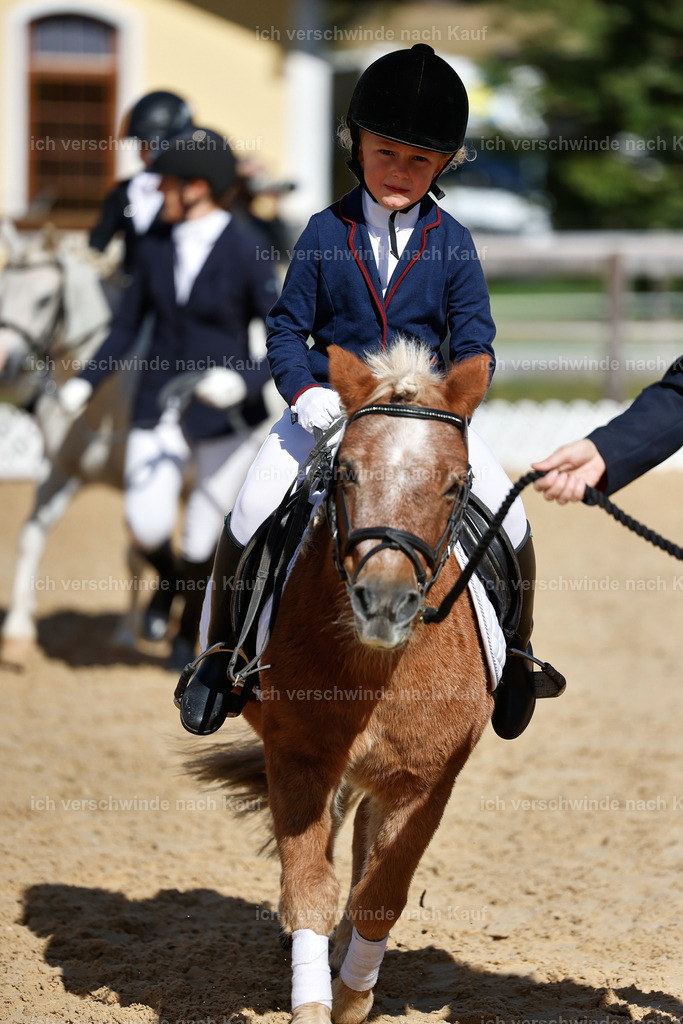 01--Ponyführzügel -StoibPH-6814 | working equitationturnier fotograf videograf stoibphotography marixx film working equitation deutschland reitsport turnierfotografie eventfotografie equestrian events