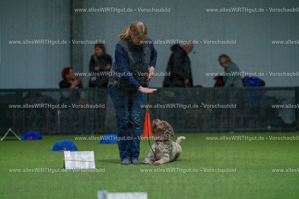 7R507804 | Professionelle Tierfotografie in Mönchengladbach von Daniel Wirth (allesWIRTHgut). Liebevolle & natürliche Bilder von Hunden & Katzen für unvergessliche Erinnerungen.
