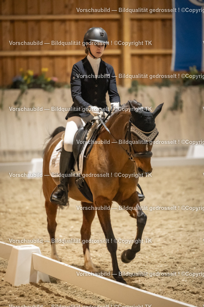 _D5A0659 | Emotionale Pferde- & People-Fotografie rund um Heidelberg, Leimen & Umgebung. Natürliche Fotos von Pferd, Mensch & Familie. Jetzt Termin sichern!