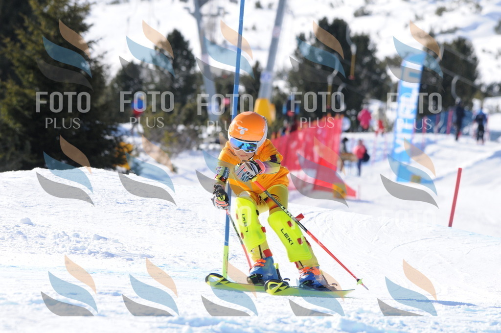 C7171 | holidayphoto