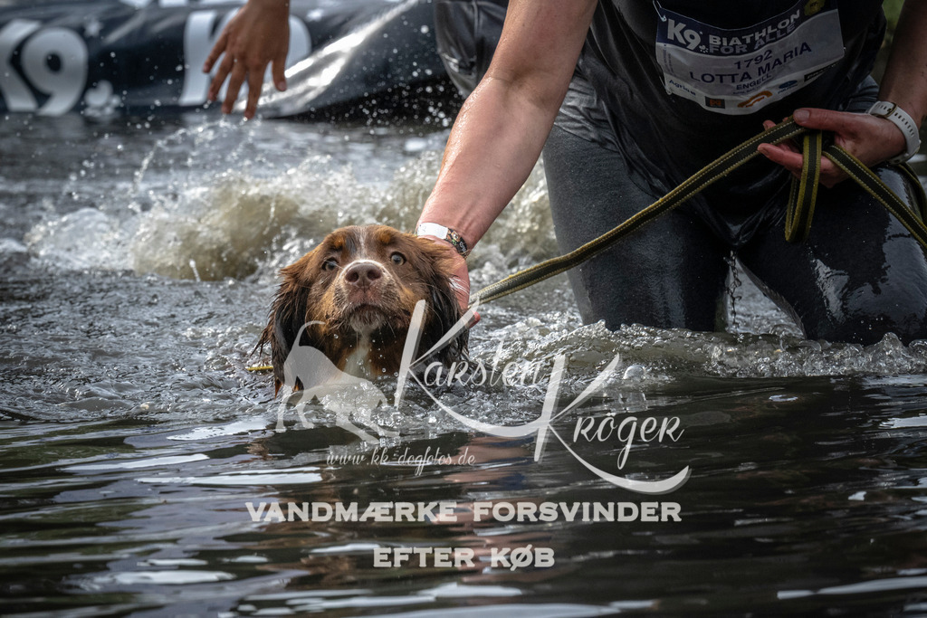 1640_ZZ99024 | kk-dogfotos