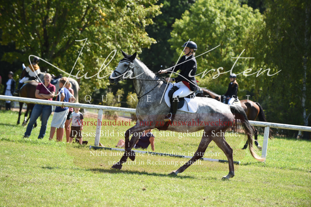 DSC_9531 | Pferde- und Turnierfotografie in Westsachsen. Pferdeportraits, Auftragszeichnungen und intuitive Kunst.