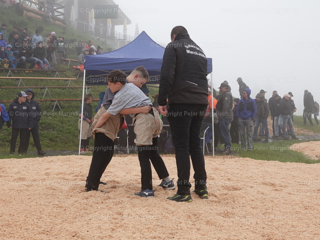 DSC07822 | Schwingen - Realisiert mit Pictrs.com