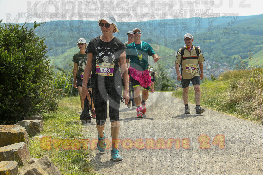250614_1327_EX1_8887 | Sportfotografie im Rhein-Sieg Kreis, Köln, Bonn, NRW, Rheinland Pfalz, Hessen, etc. Unser Tätigkeitsfeld umfasst den Laufsport vom Volkslauf über den Marathon, Duathlon, Triathon bis zum Ultralauf wie Kölnpfad Ultra oder Schindertrail.